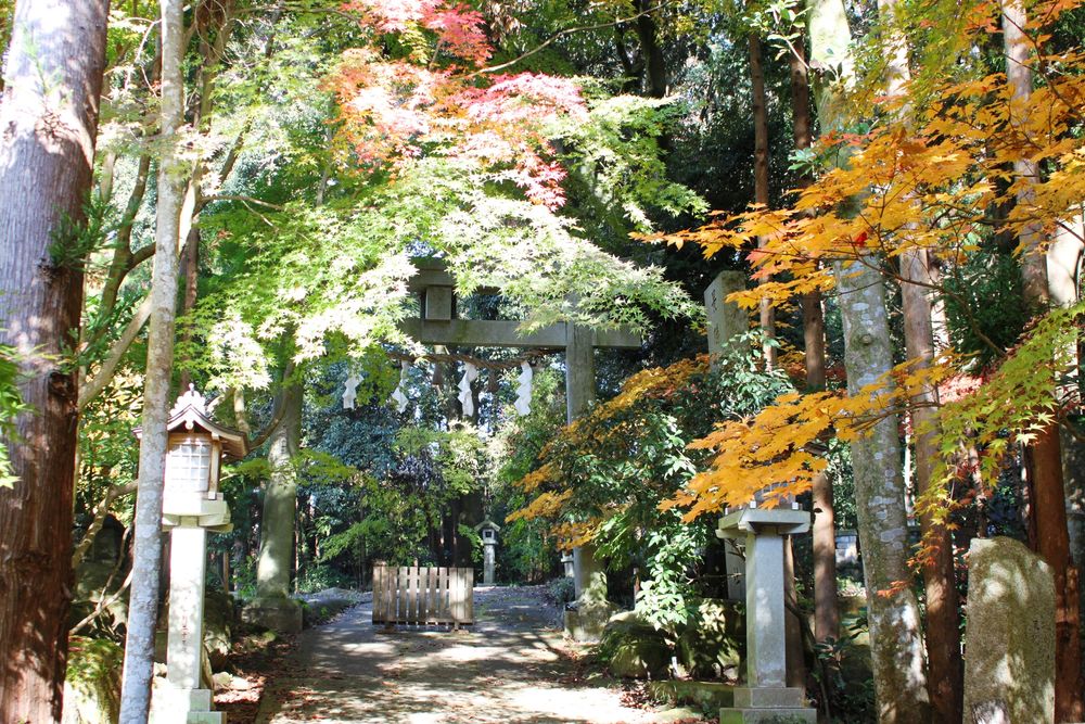 五所駒瀧神社の画像 - 5枚目