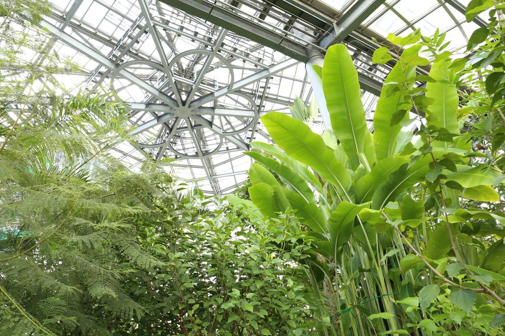 茨城県植物園の画像 - 4枚目