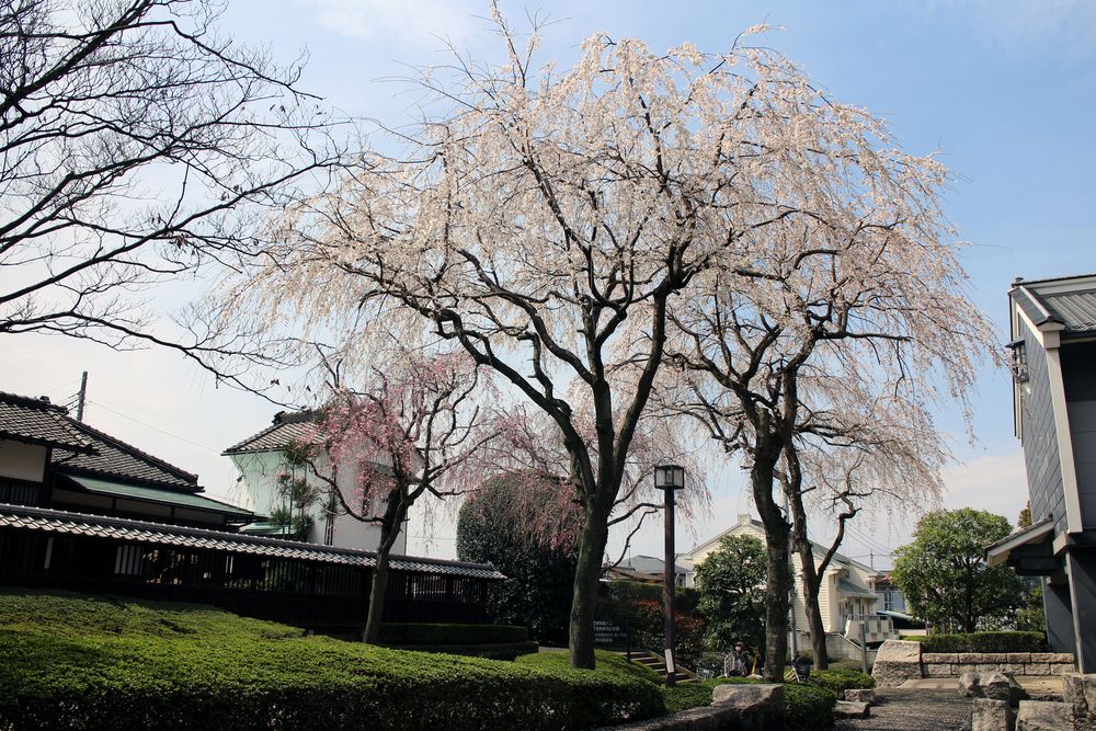 古河歴史博物館の画像 - 2枚目