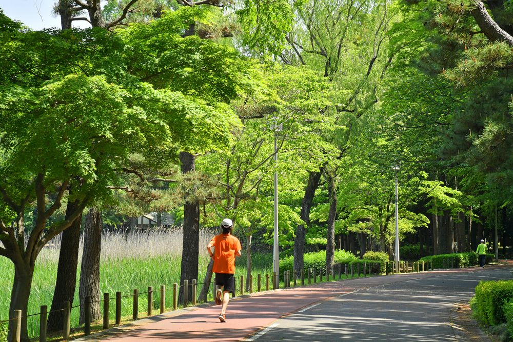 洞峰公園の画像 - 4枚目