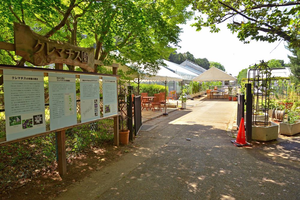 国立科学博物館筑波実験植物園の画像 - 2枚目