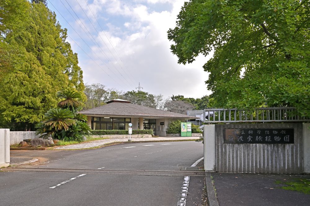 国立科学博物館筑波実験植物園の画像 - 4枚目
