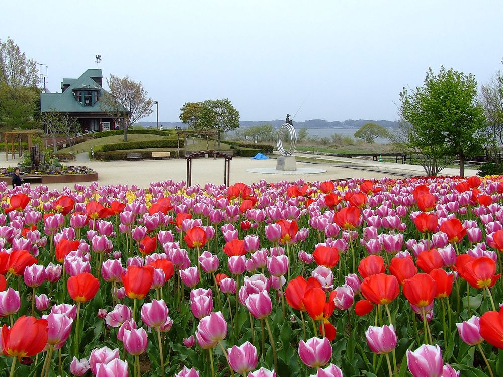 霞ヶ浦総合公園の画像 - 4枚目