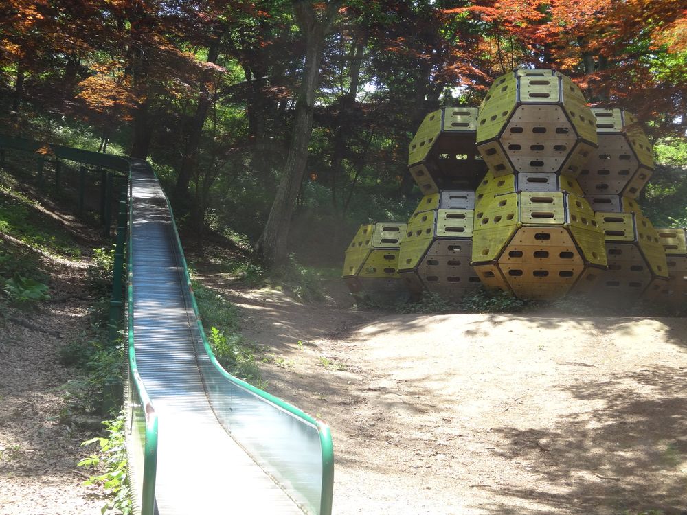 水戸市 森林公園の画像 - 3枚目