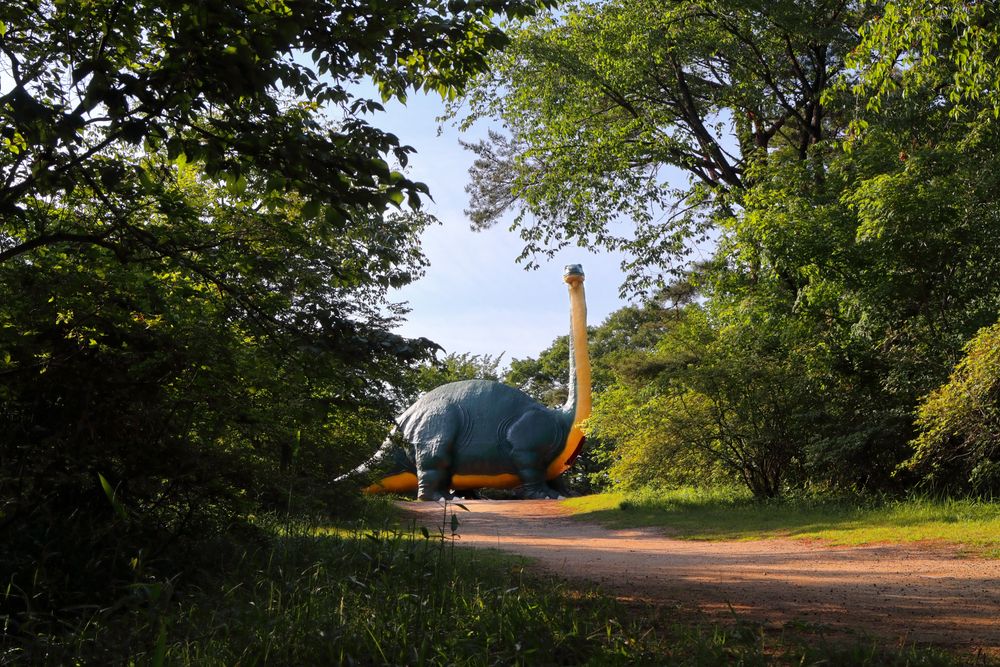 水戸市 森林公園の画像 - 4枚目
