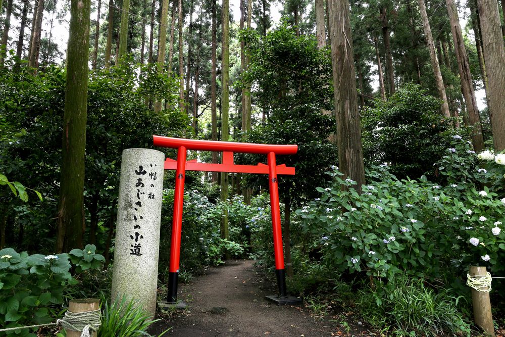 八幡宮(水戸八幡宮)の画像 - 2枚目