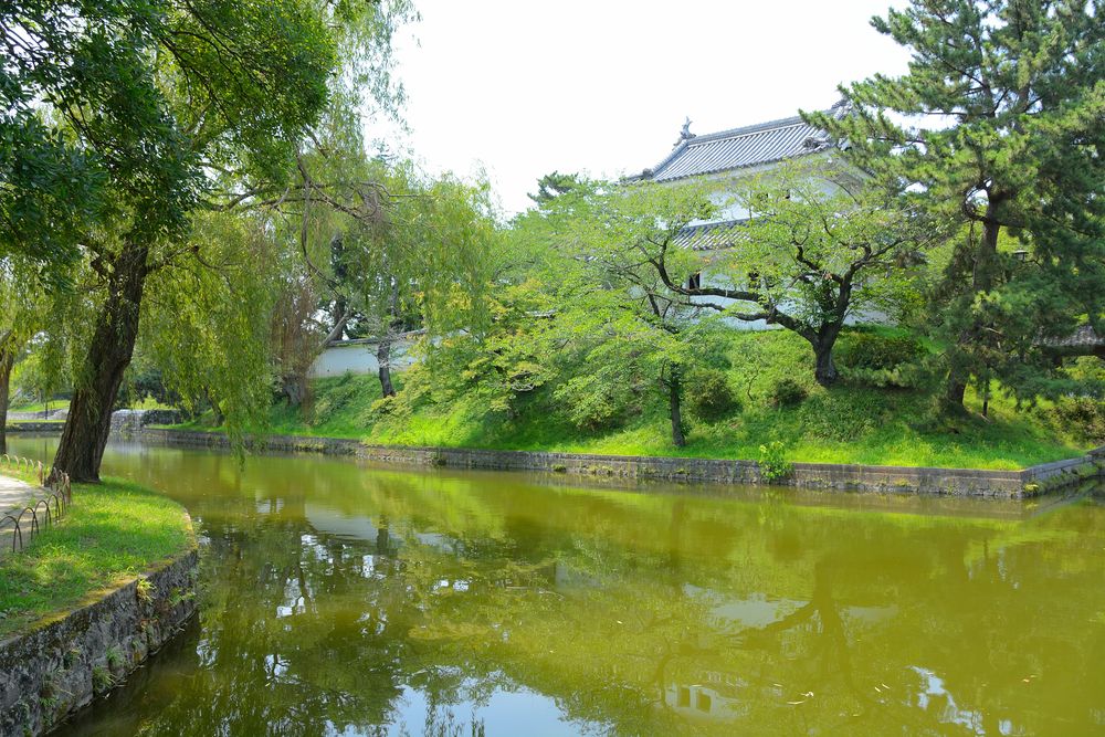 亀城公園の画像 - 2枚目
