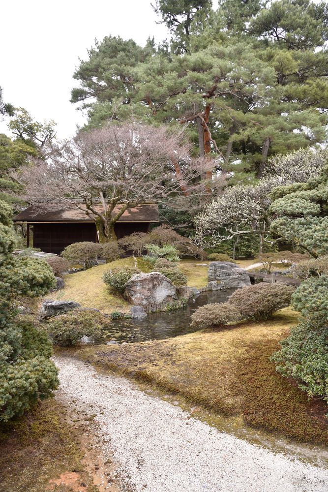 京都御所の画像 - 6枚目