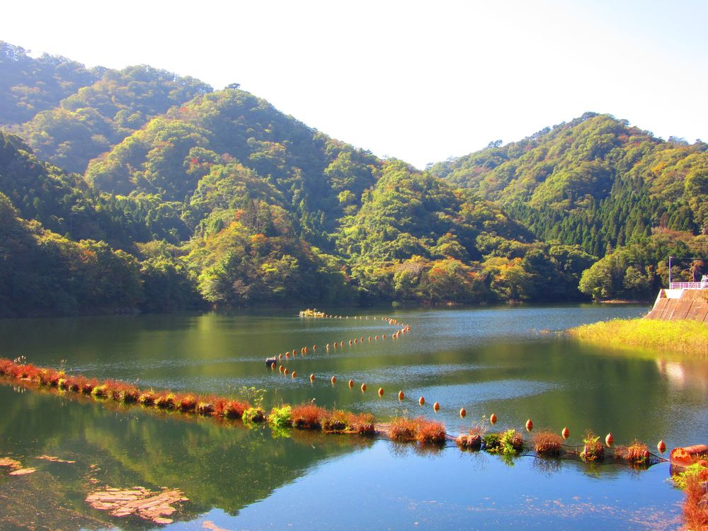 花貫ダムの画像 - 2枚目