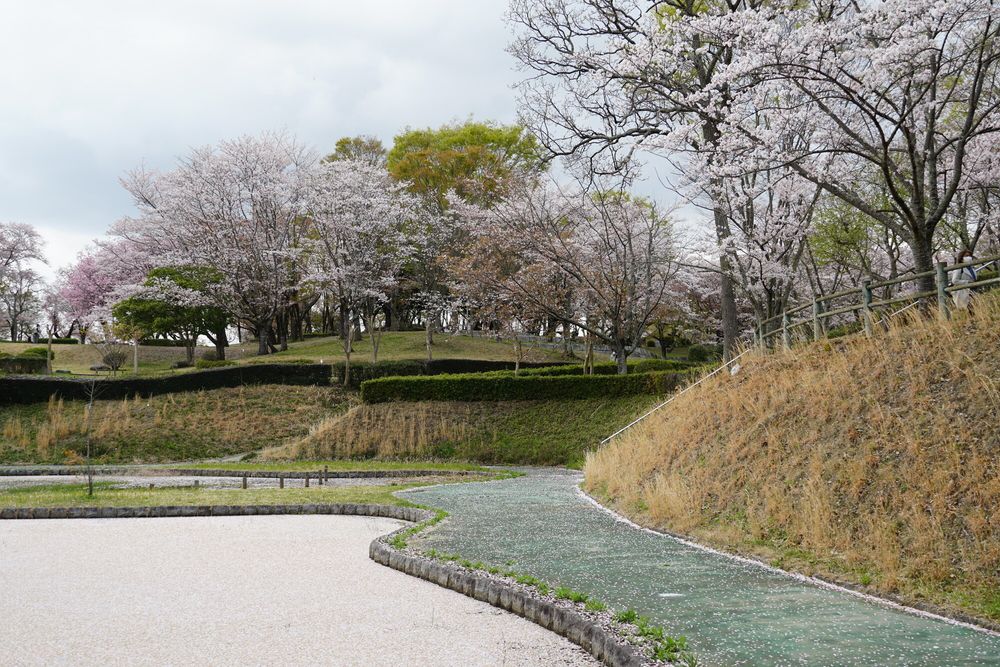 桜川市 磯部桜川公園の画像 - 4枚目