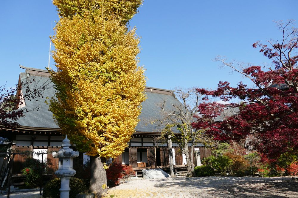 天台宗曜光山 月山寺