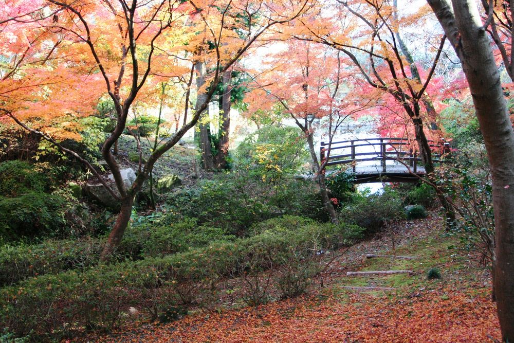 春風萬里荘の画像 - 2枚目