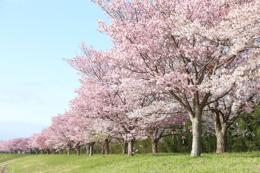 辰ノ口親水公園の画像 - 2枚目