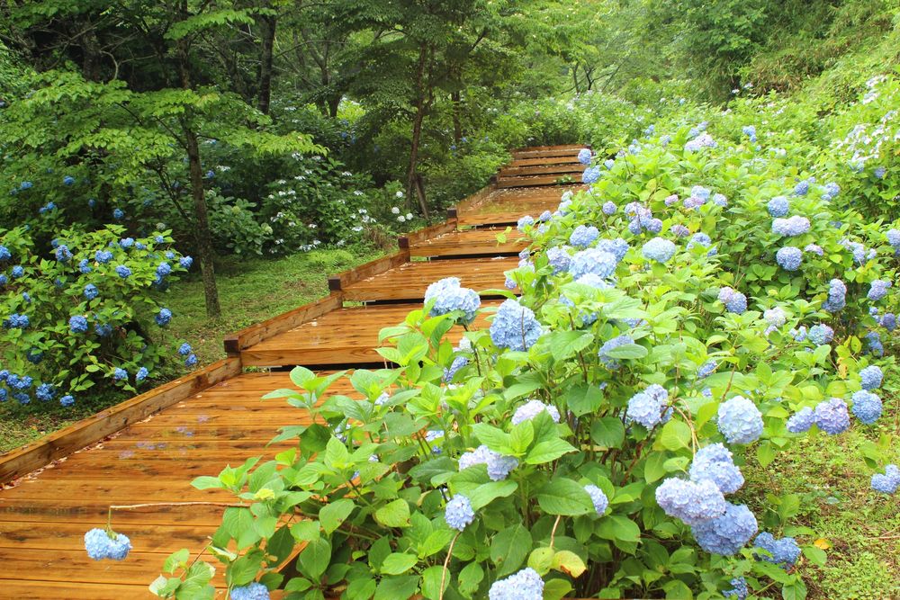 辰ノ口親水公園の画像 - 3枚目