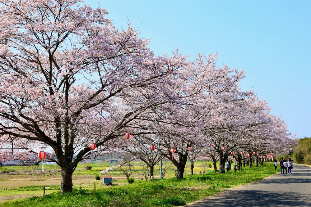 辰ノ口親水公園の画像 - 5枚目