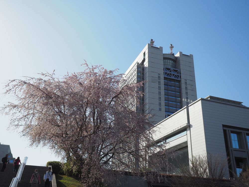 茨城県庁 展望ロビーの画像 - 2枚目