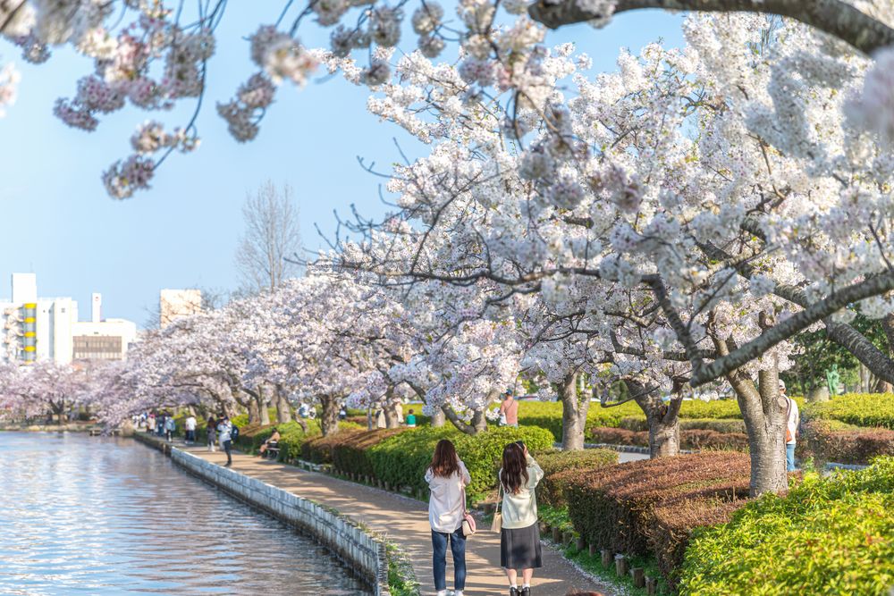 偕楽園 桜山エリアの画像 - 5枚目