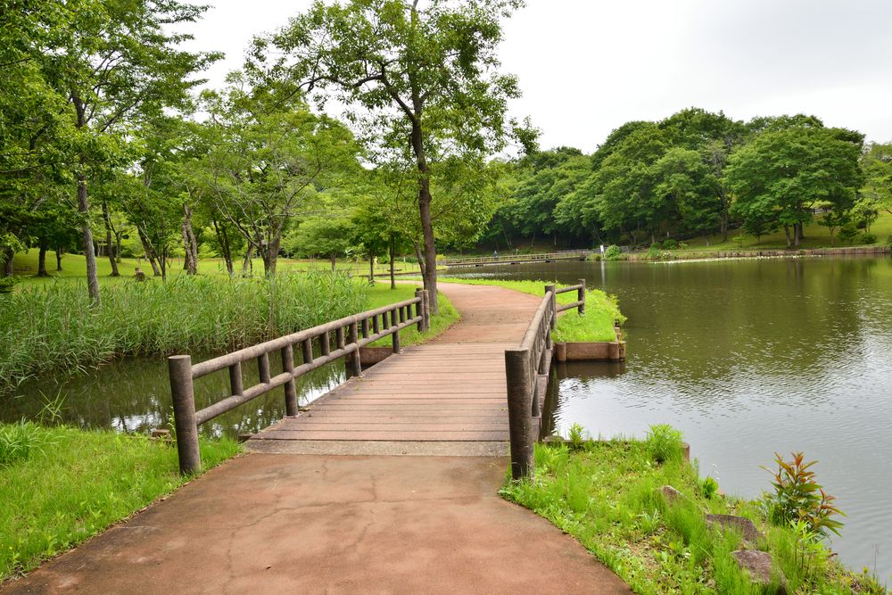 北山公園の画像 - 2枚目