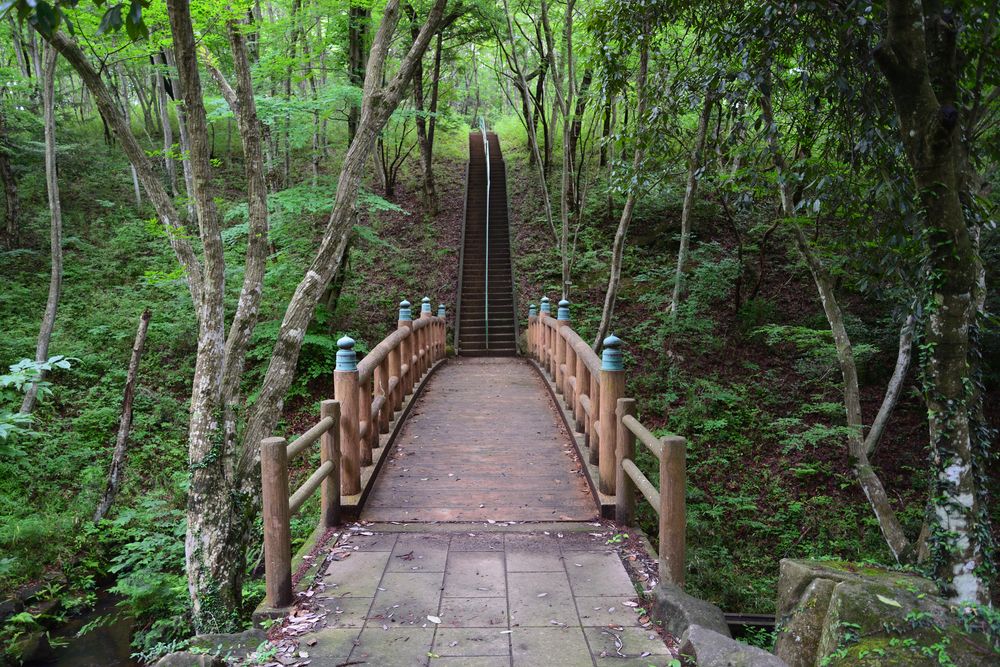 北山公園の画像 - 4枚目