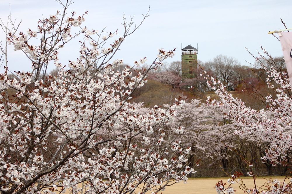 北山公園の画像 - 5枚目
