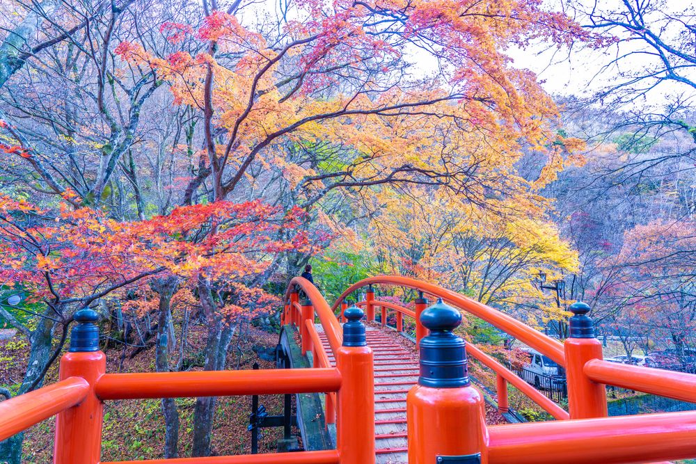 伊香保温泉の画像 - 5枚目
