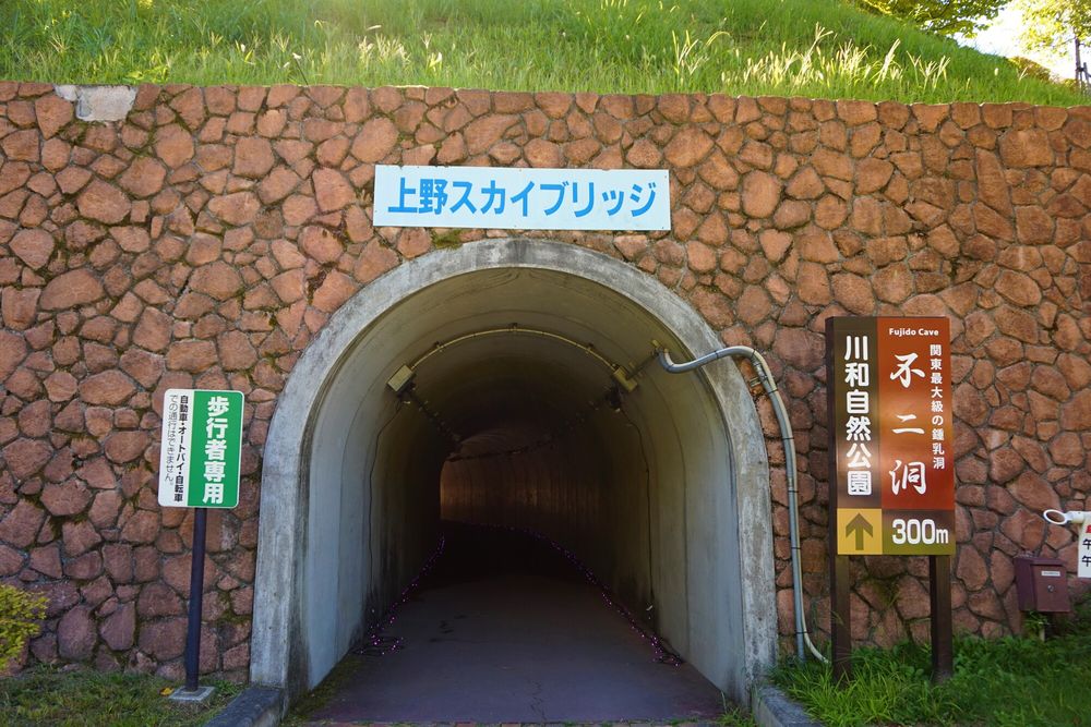 上野スカイブリッジの画像 - 4枚目