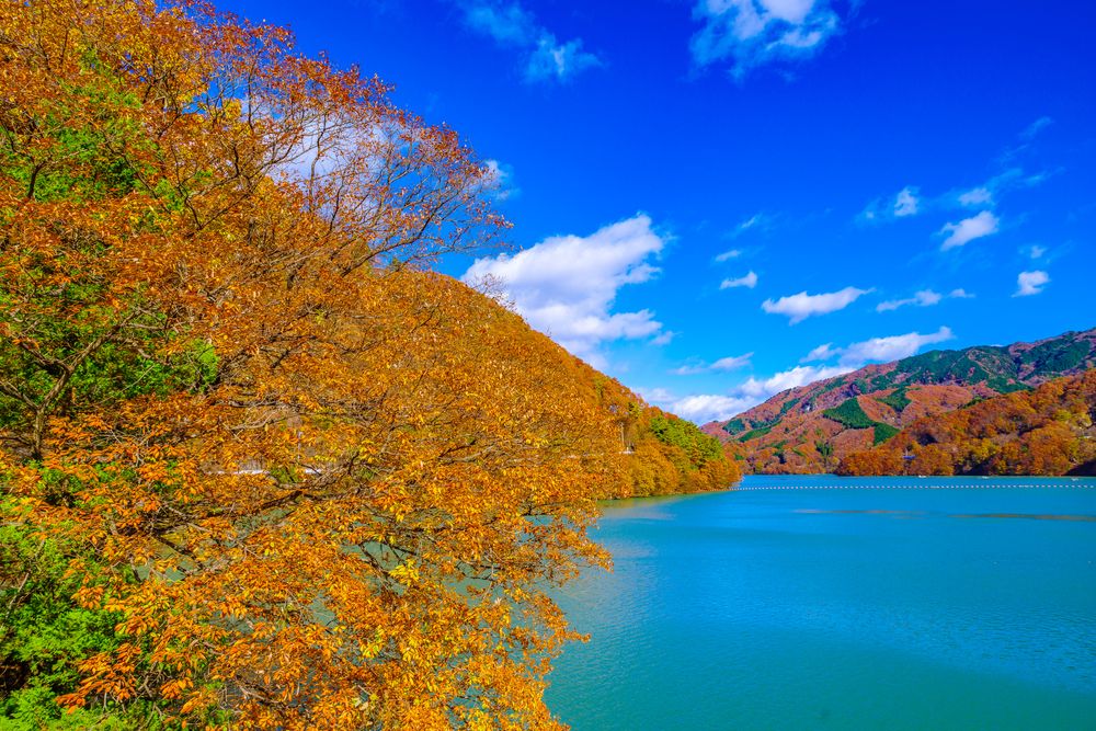 草木湖の画像 - 2枚目