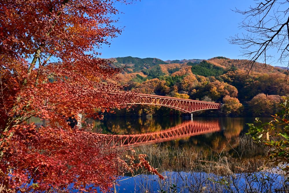 草木湖の画像 - 3枚目