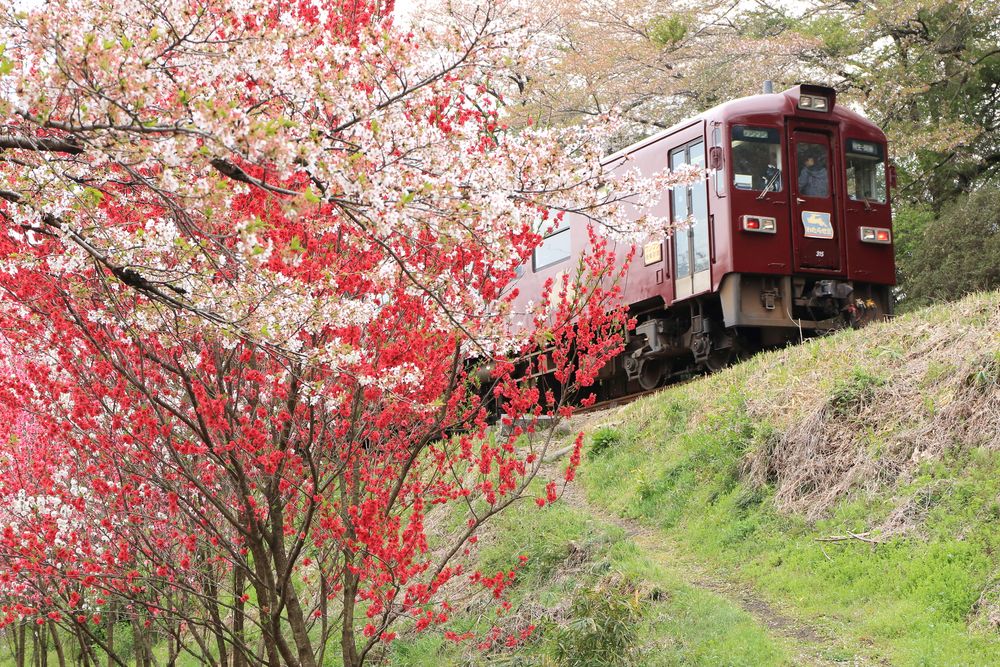わたらせ渓谷鐵道の画像 - 4枚目