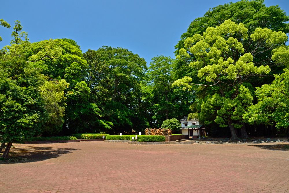 多々良沼公園の画像 - 3枚目