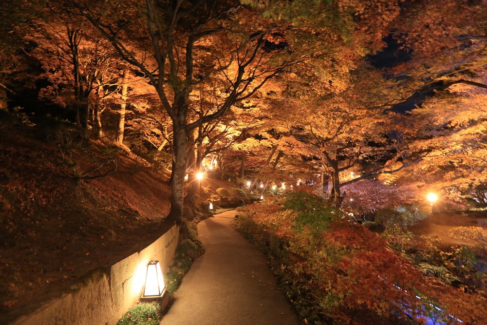 徳明園の画像 - 3枚目
