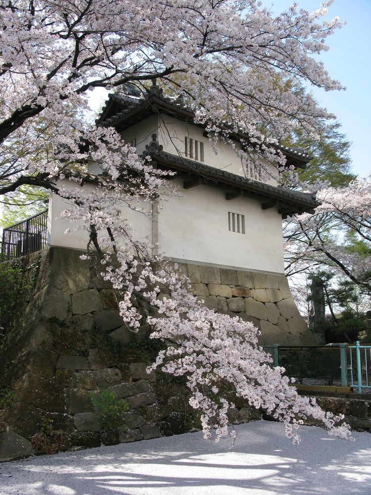高崎城址公園の画像 - 3枚目