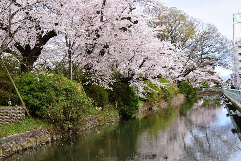 高崎城址公園の画像 - 5枚目
