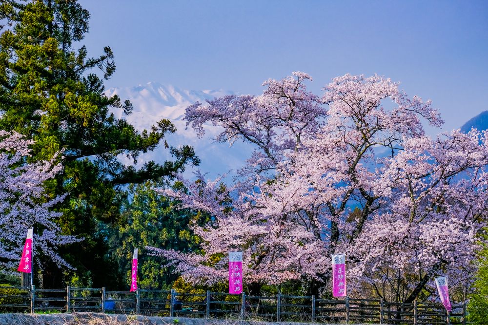 名胡桃城址の画像 - 3枚目