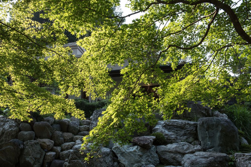 山徳記念館・徳明園の画像 - 2枚目
