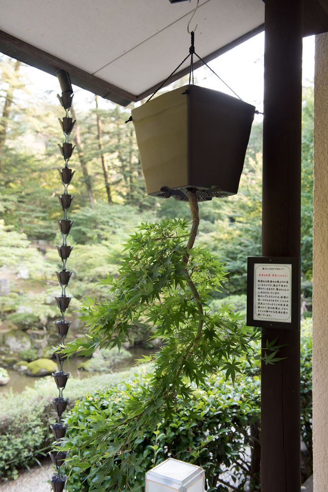 山徳記念館・徳明園の画像 - 3枚目