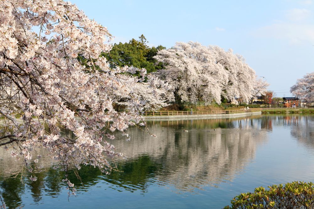 三ツ寺公園の画像 - 3枚目