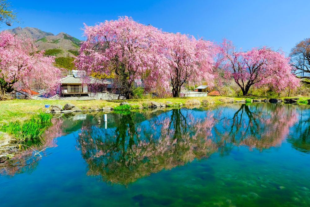 箱島湧水の画像 - 2枚目