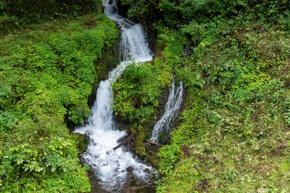 箱島湧水の画像 - 4枚目
