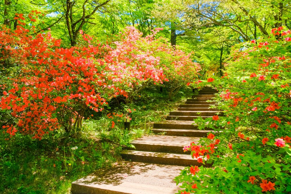 上ノ山公園