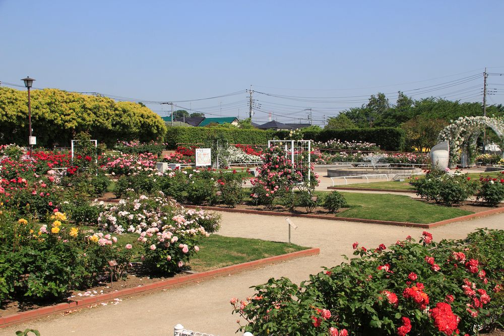 伊奈町制施行記念公園の画像 - 2枚目