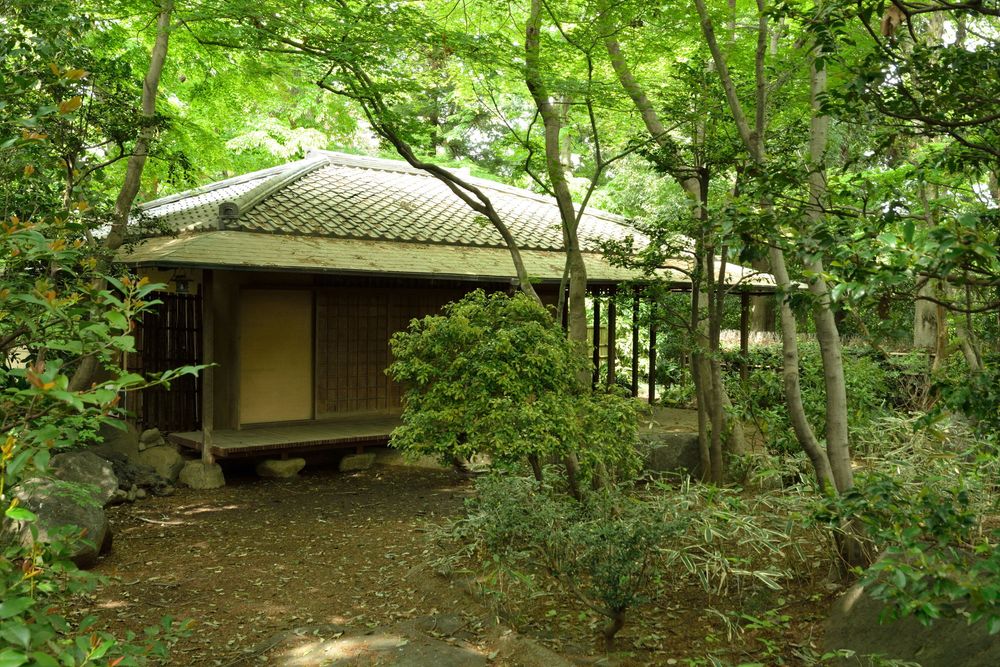 川口市立グリーンセンター】の周辺スポット・アクセス・口コミ - Prism