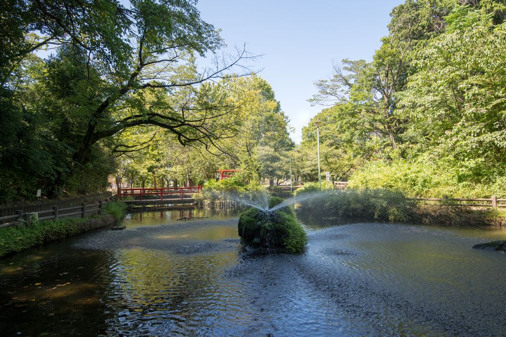 与野公園