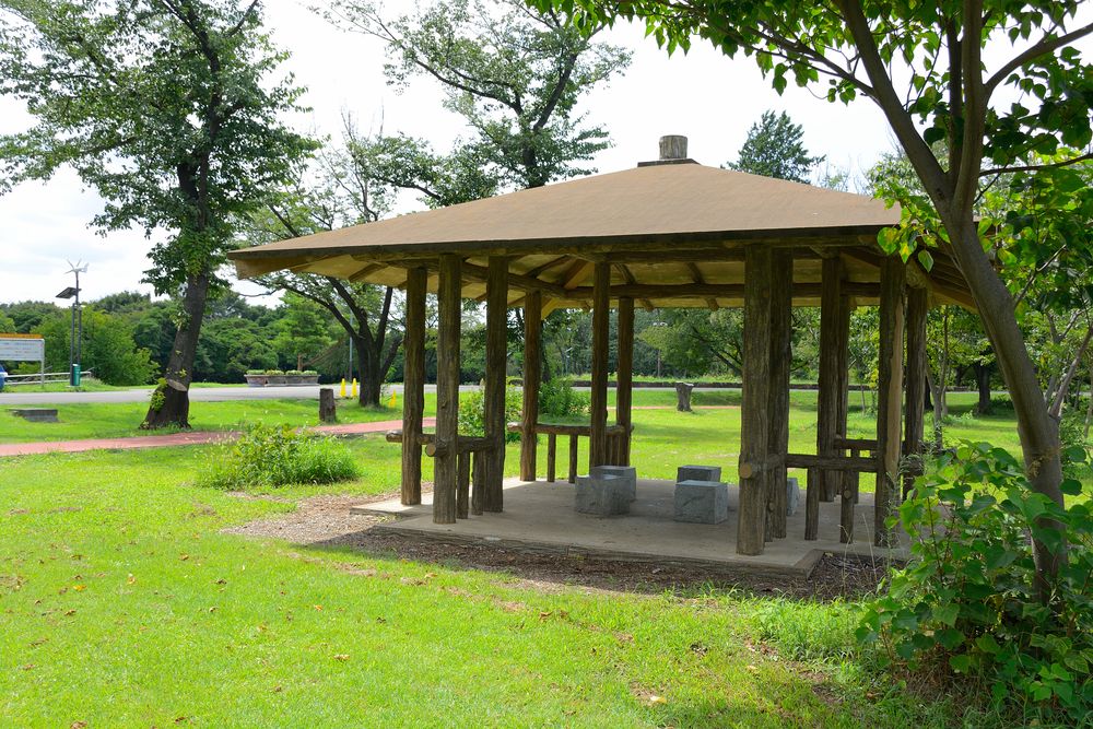 埼玉県営和光樹林公園の画像 - 3枚目