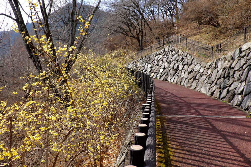 城峯公園の画像 - 3枚目