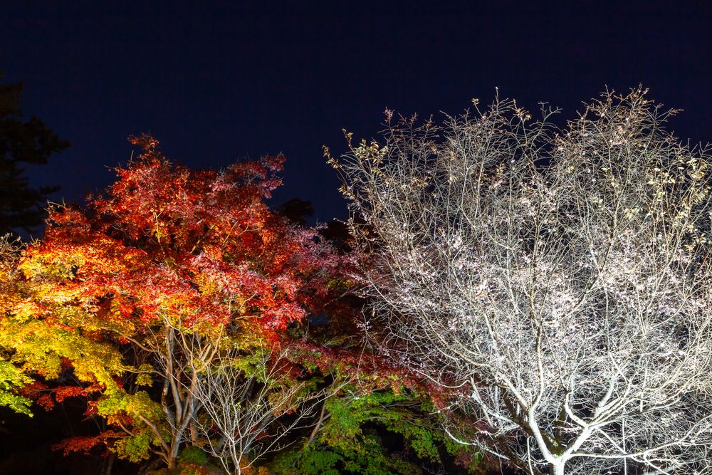 城峯公園の画像 - 4枚目