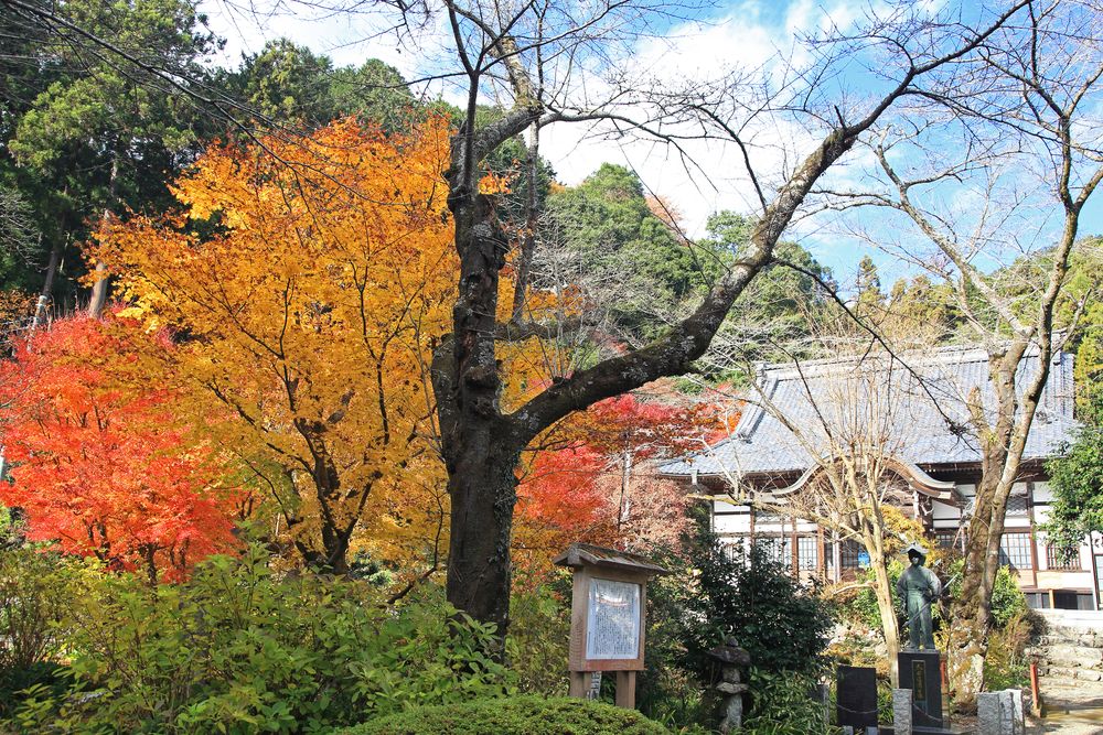 長昌山 龍穏寺の画像 - 2枚目