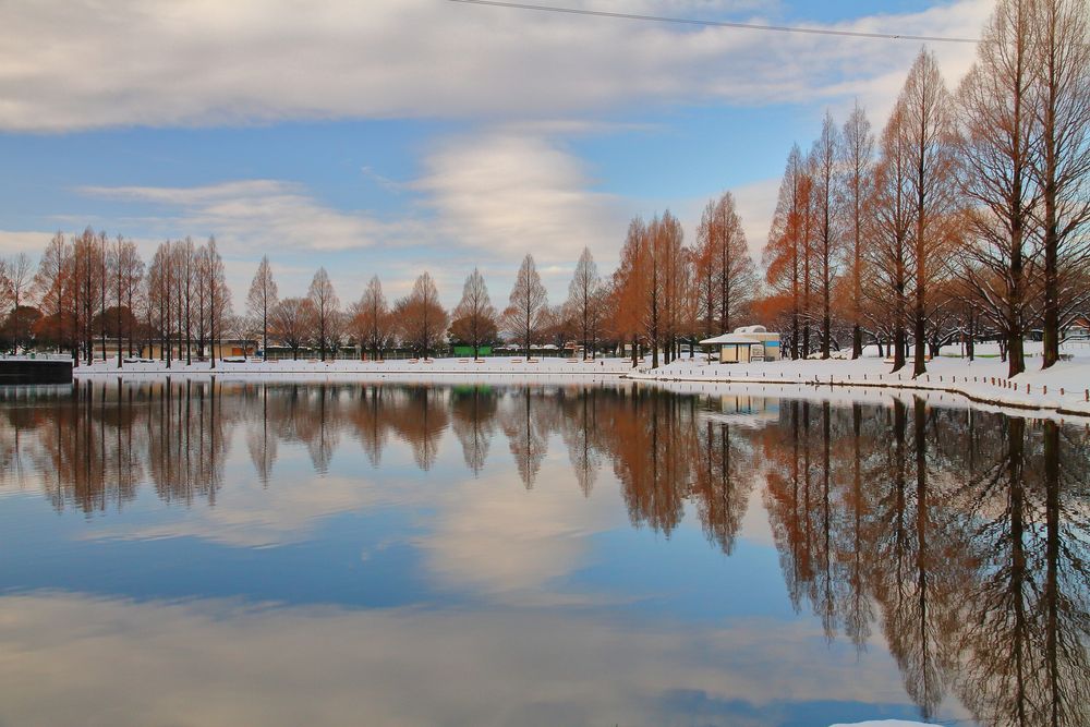 川越水上公園の画像 - 4枚目