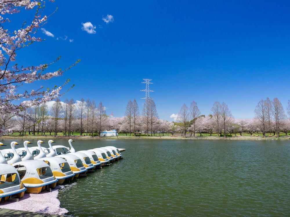 川越水上公園