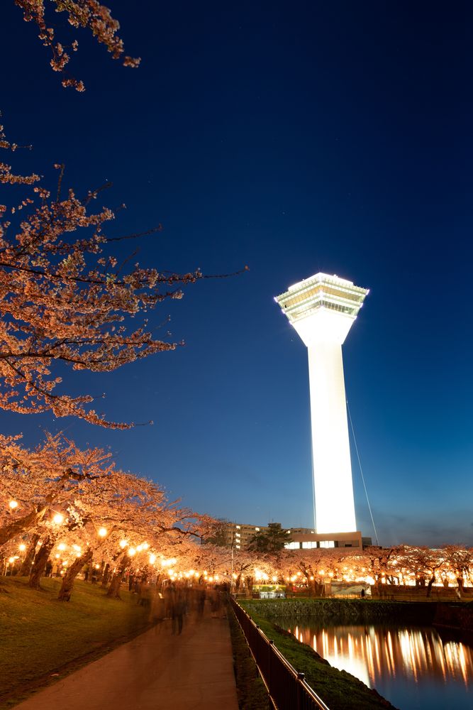 五稜郭公園の画像 - 4枚目